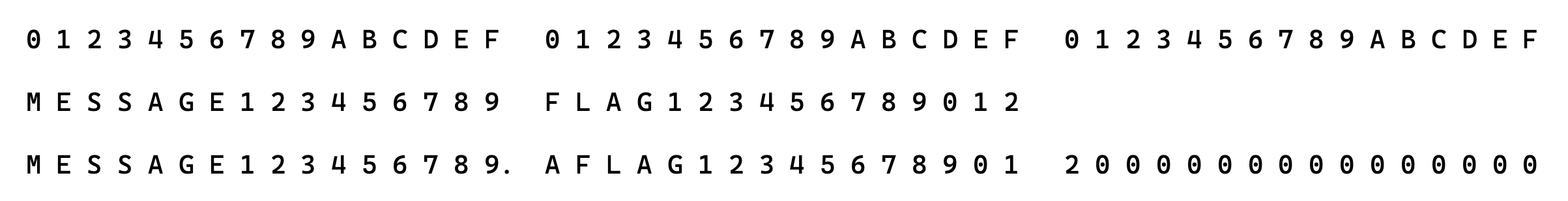 pushing the flag into the next 16 byte block